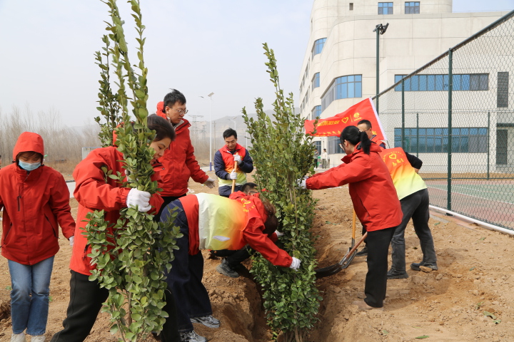 龍門綠碳公司：“植”此青綠 共筑綠韻山河