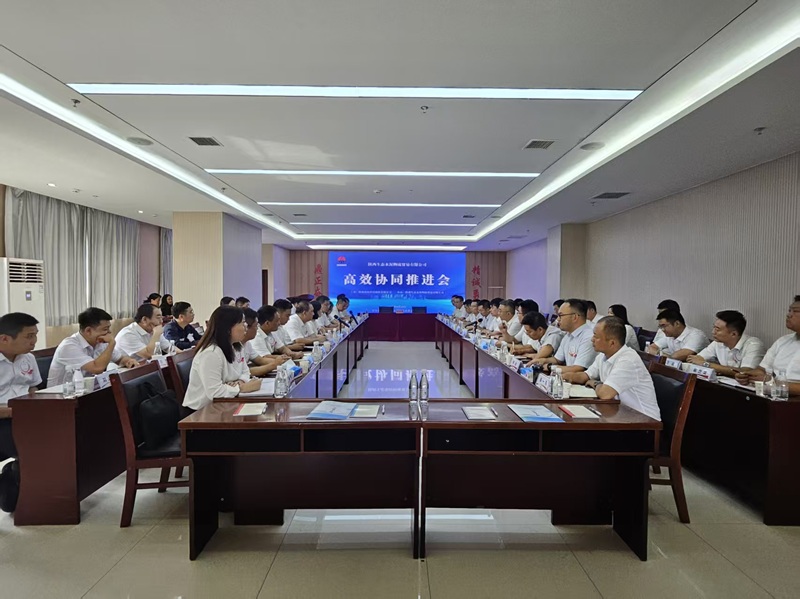 同心聚力促協同 攜手共進謀新篇—— 陜西建材科技公司召開2025年內部高效協同推進會